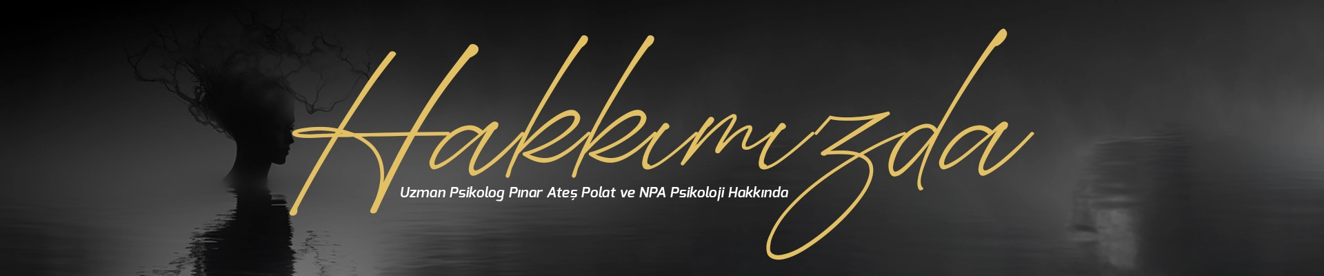 Hakkımızda