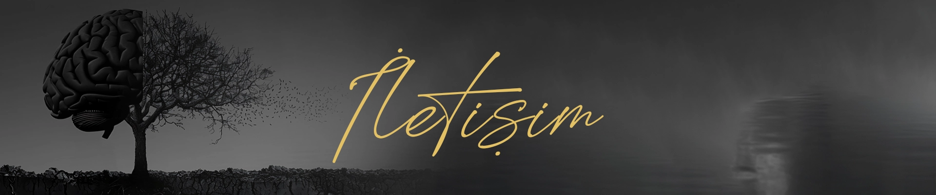 İletişim & Randevu